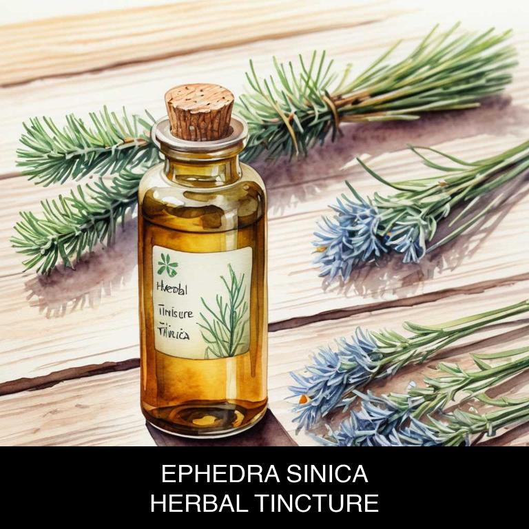 ephedra sinica herbal tinctures for asthma