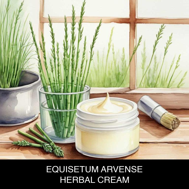 equisetum arvense herbal creams for vaginitis