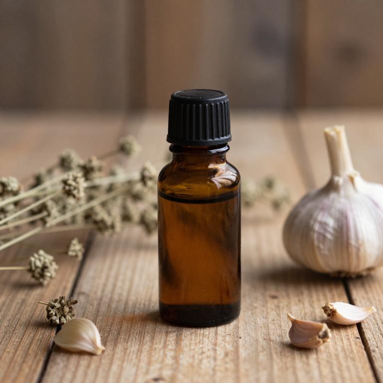 allium sativum essential oil