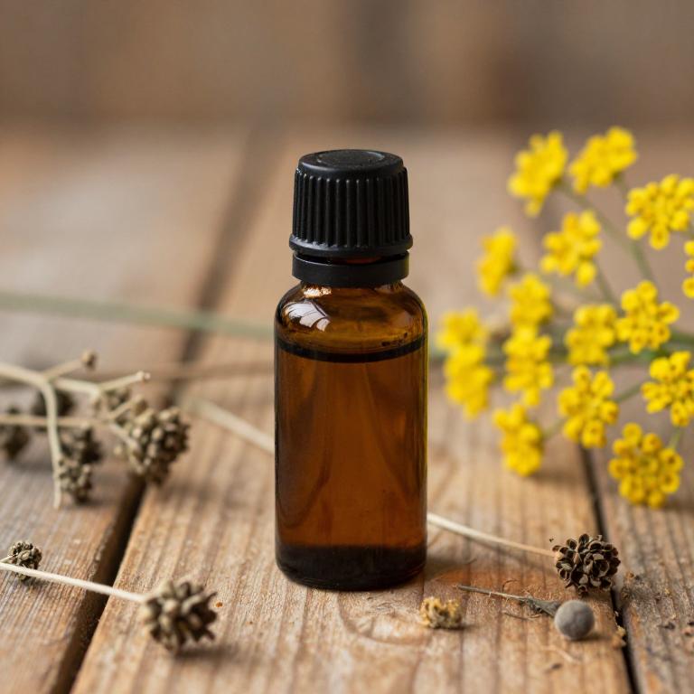 anethum graveolens essential oil