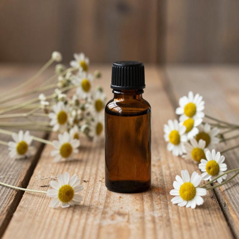 anthemis nobilis essential oil