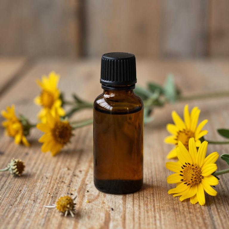 arnica montana essential oil