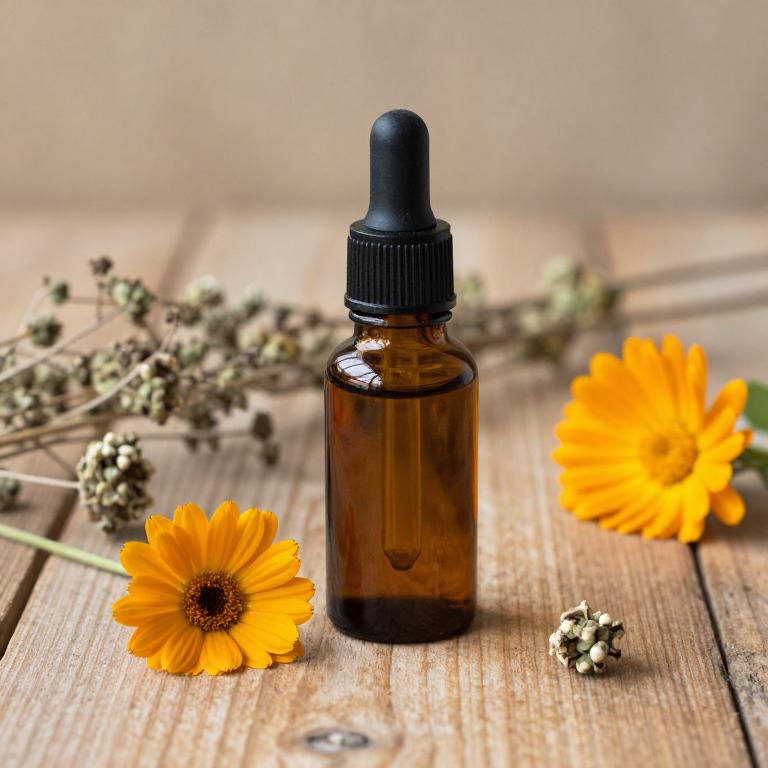 calendula officinalis essential oil