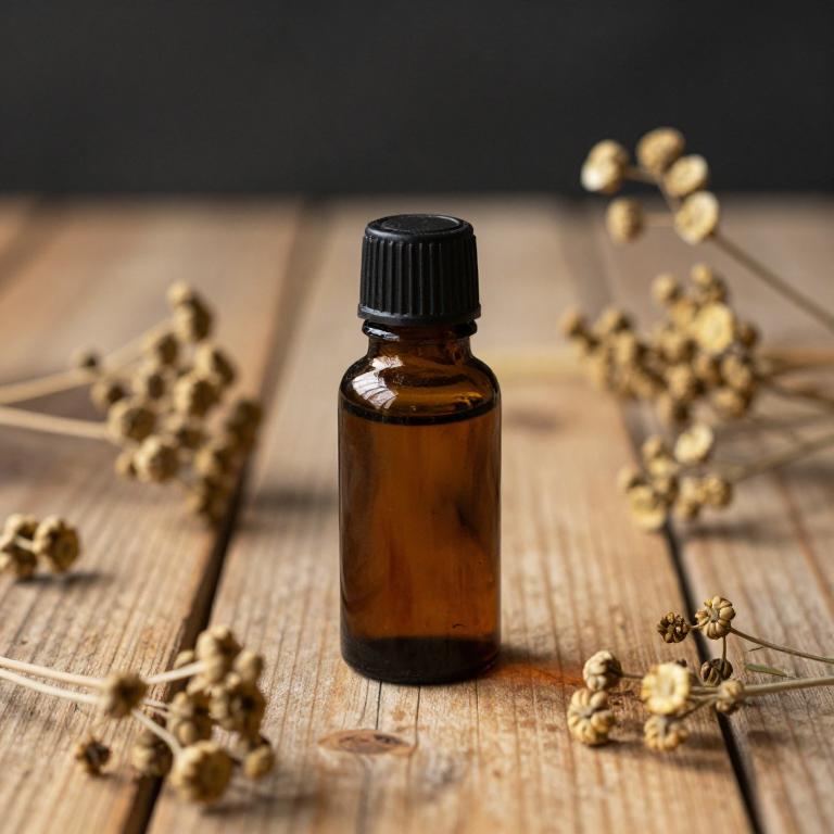 carum carvi essential oil