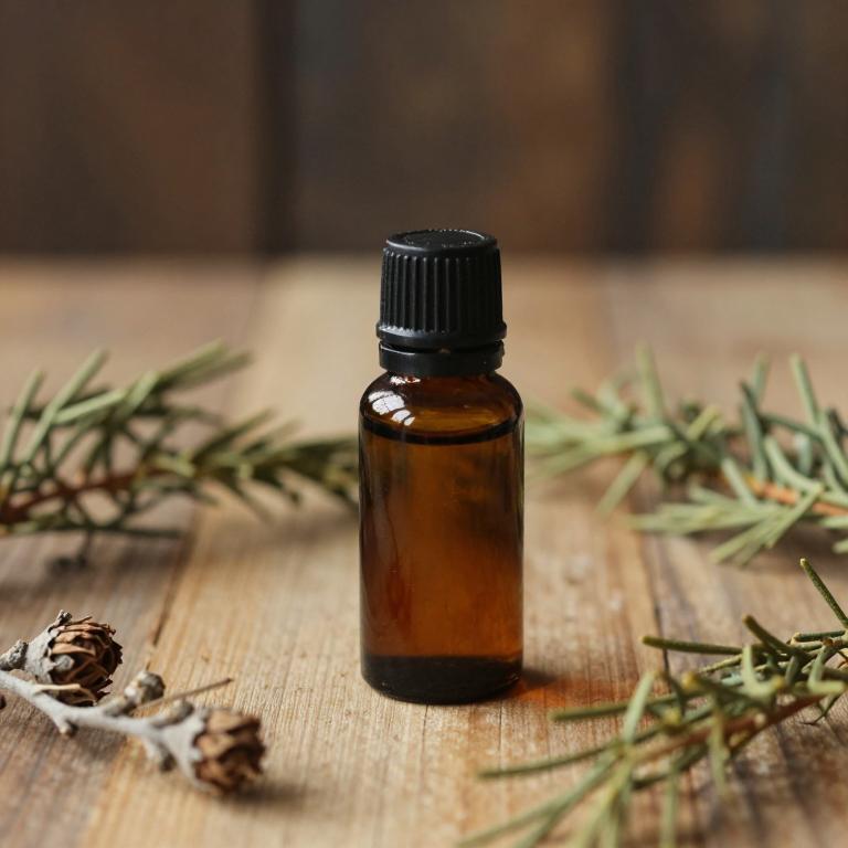 cupressus sempervirens essential oil
