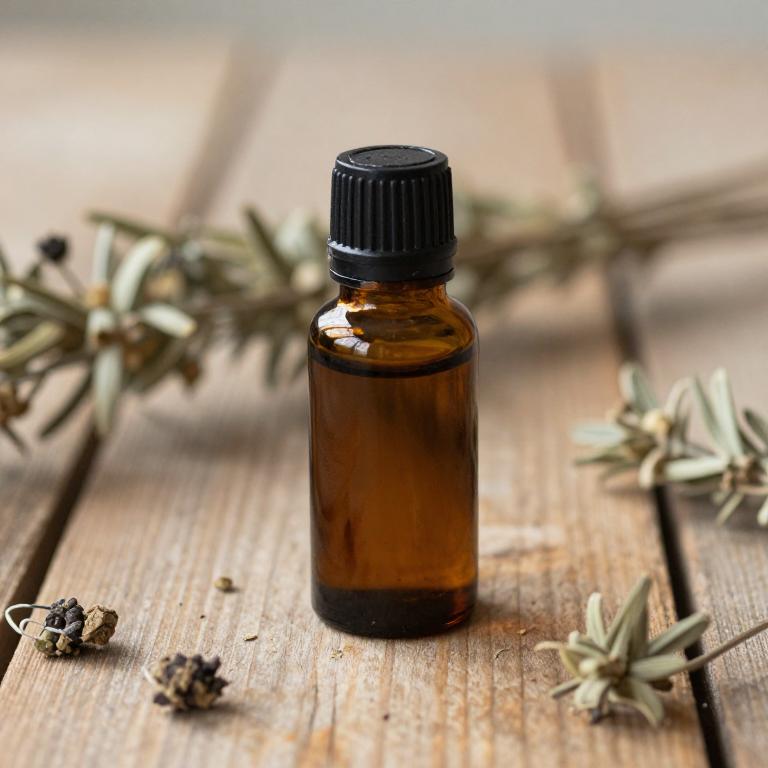 cymbopogon martini essential oil