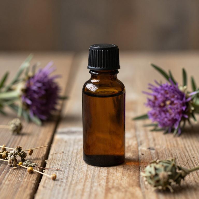 cynara scolymus essential oil