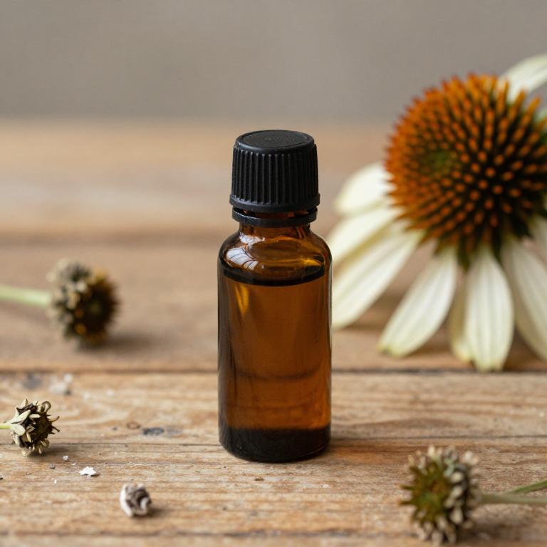 echinacea purpurea essential oil