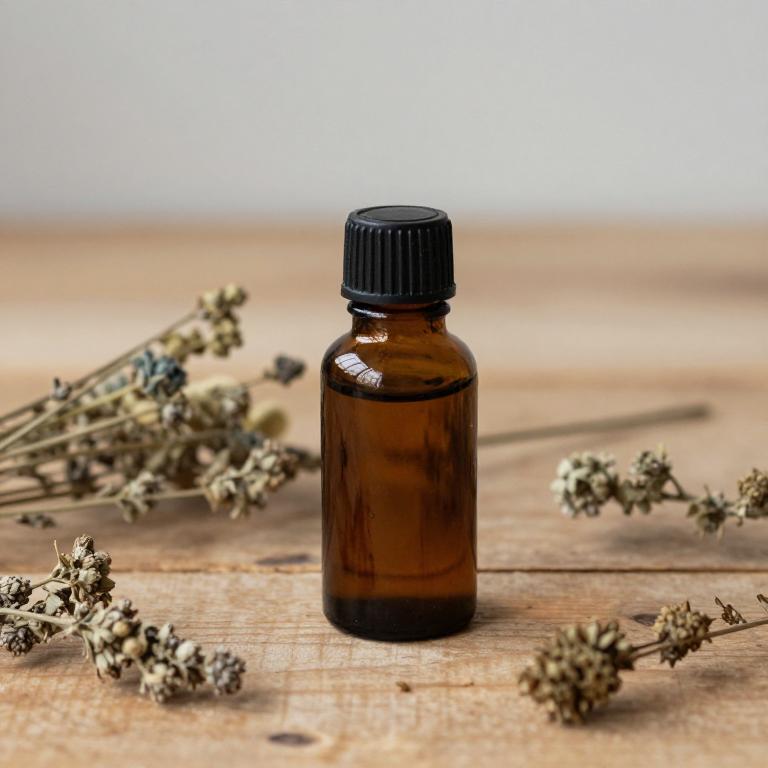 equisetum arvense essential oil