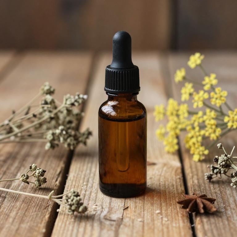 foeniculum vulgare essential oil