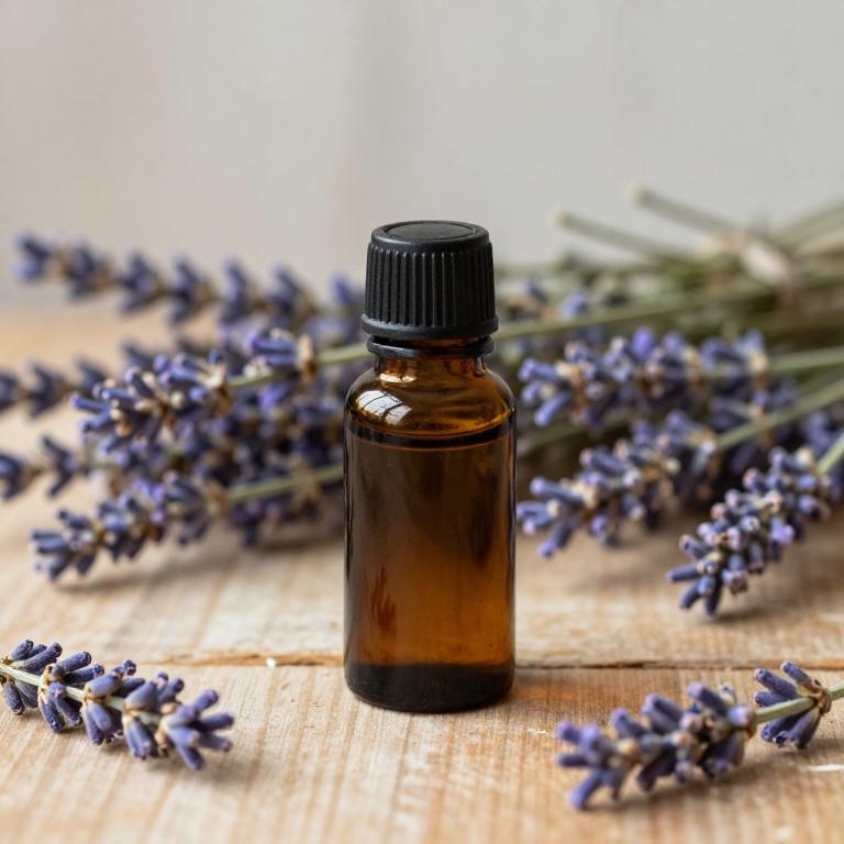 lavandula angustifolia essential oil