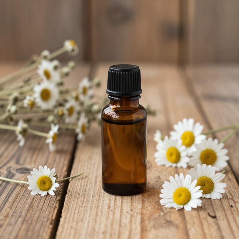 matricaria chamomilla essential oil