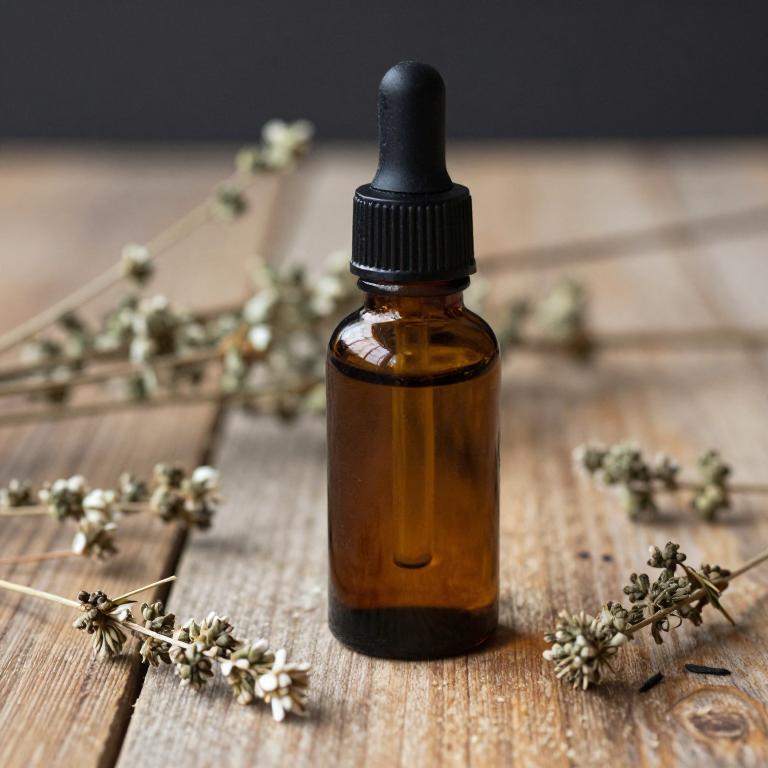 nepeta cataria essential oil