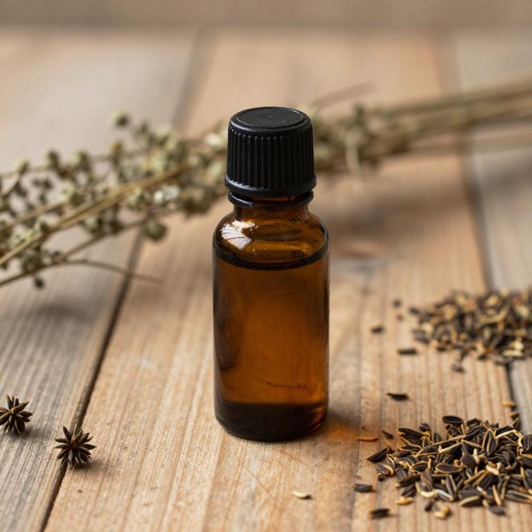 nigella sativa essential oil