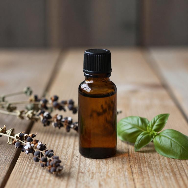 ocimum basilicum essential oil