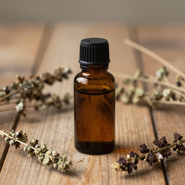 ocimum sanctum essential oil