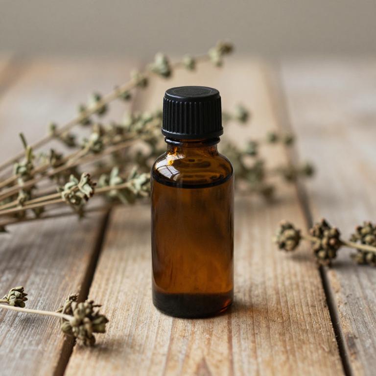 origanum vulgare essential oil