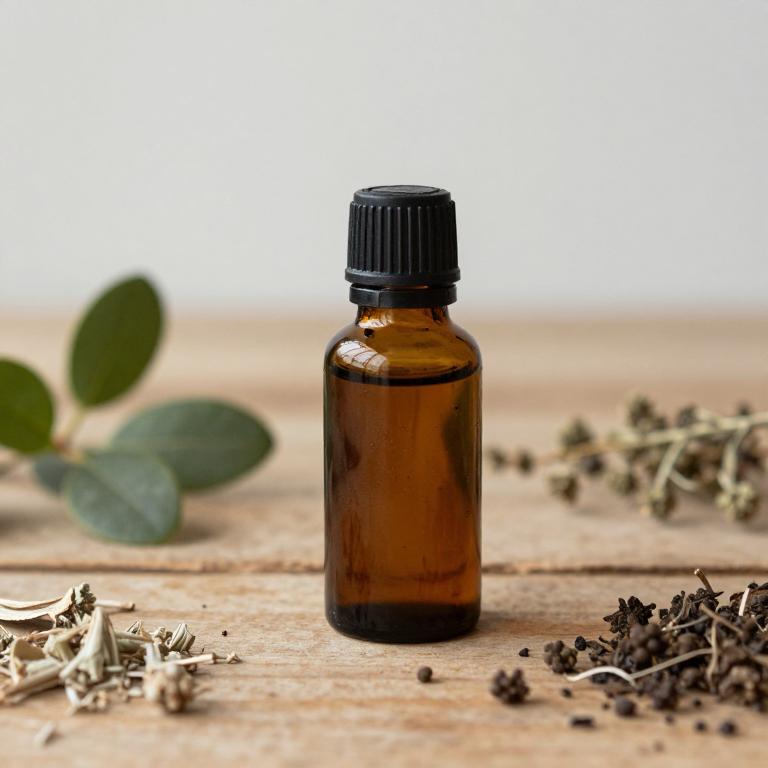 peperomia pellucida essential oil