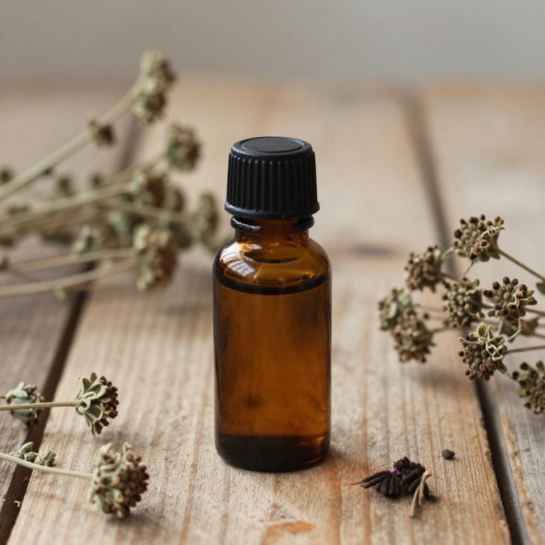 peucedanum ostruthium essential oil