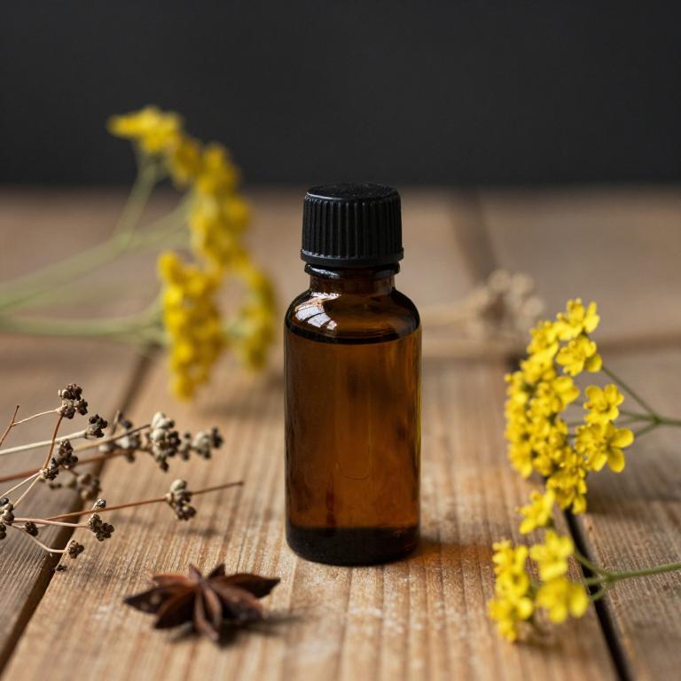 pimpinella anisum essential oil