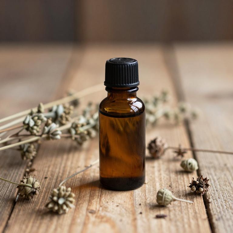 rhodiola rosea essential oil