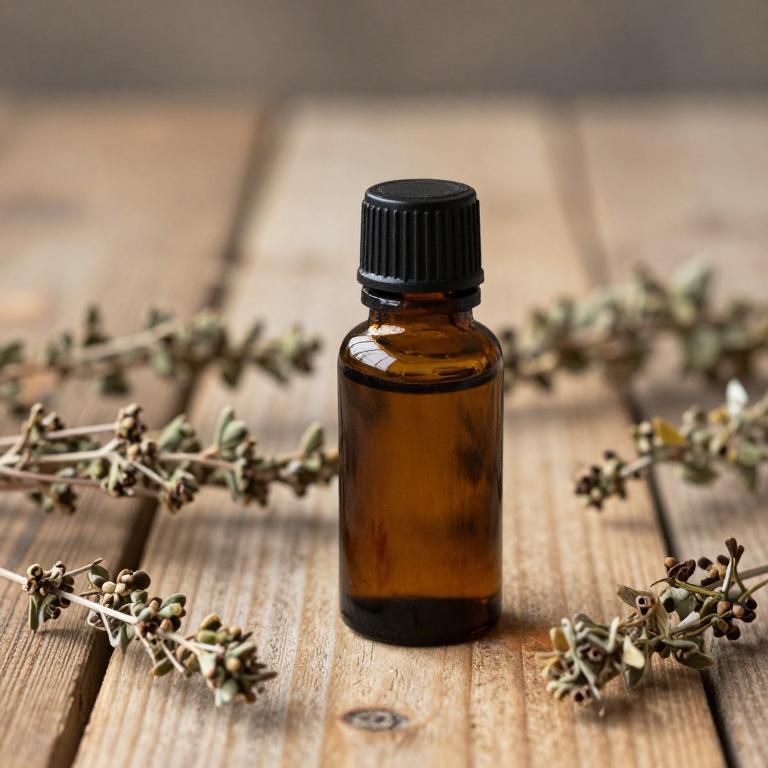 salvia officinalis essential oil