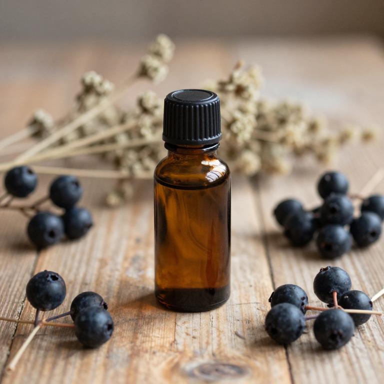 sambucus nigra essential oil