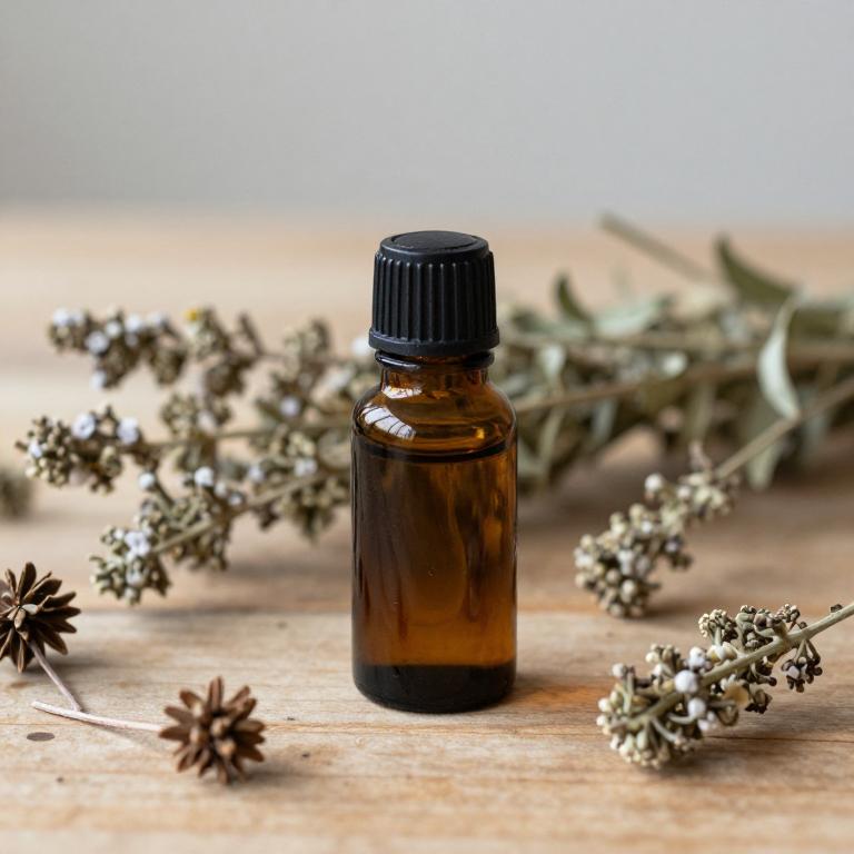 satureja hortensis essential oil