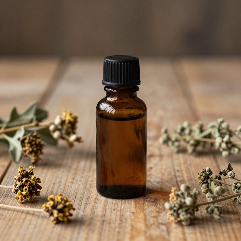 symphytum officinale essential oil