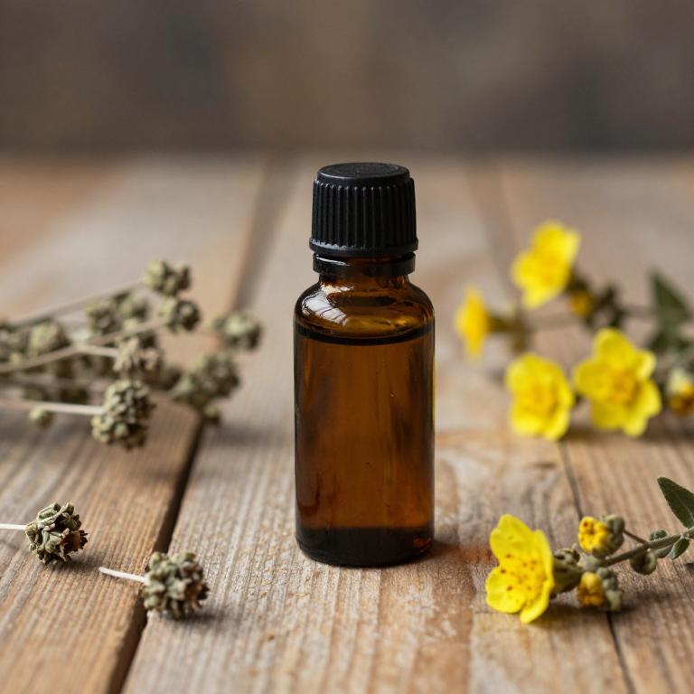 teucrium marum essential oil