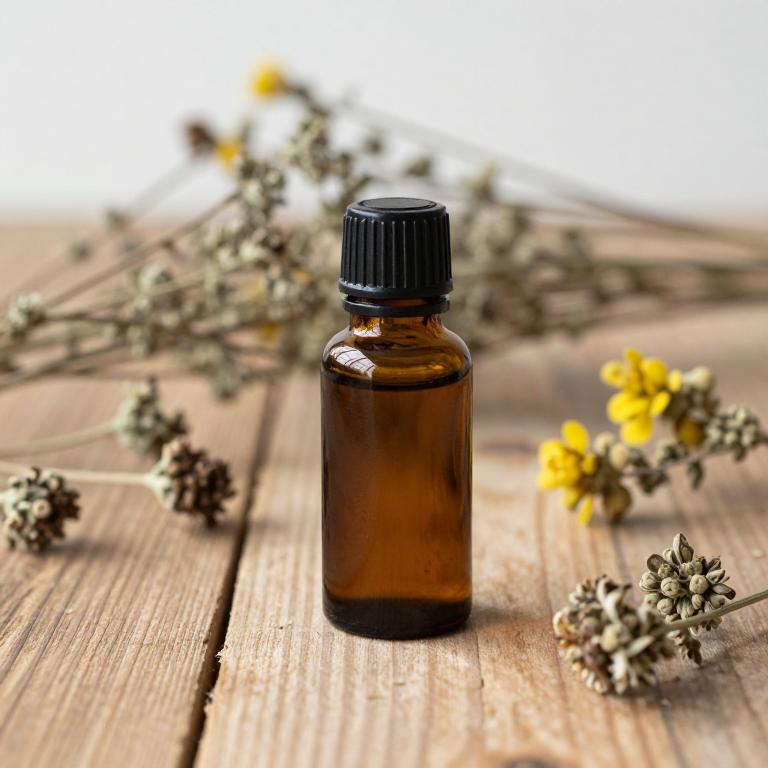 teucrium polium essential oil