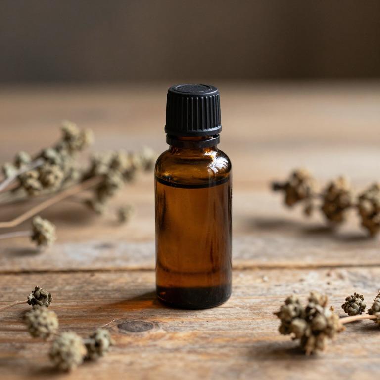 vitis vinifera essential oil