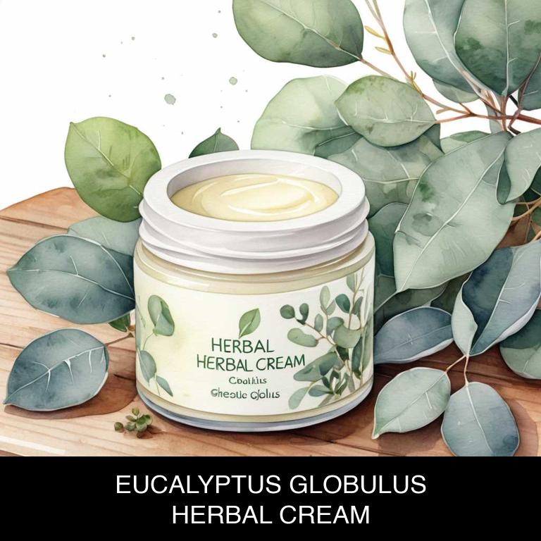 eucalyptus globulus herbal creams for breath-shortness