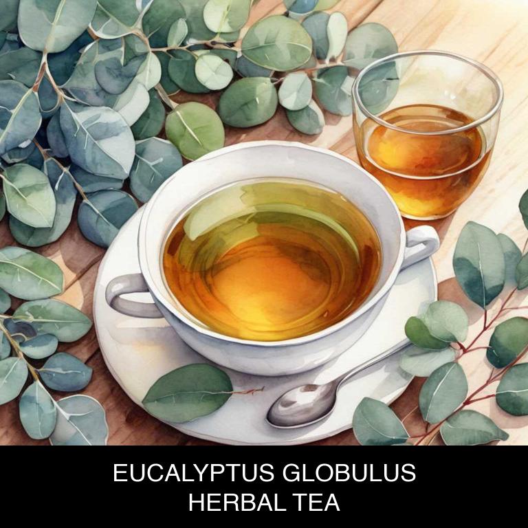 eucalyptus globulus herbal teas for strep-throat