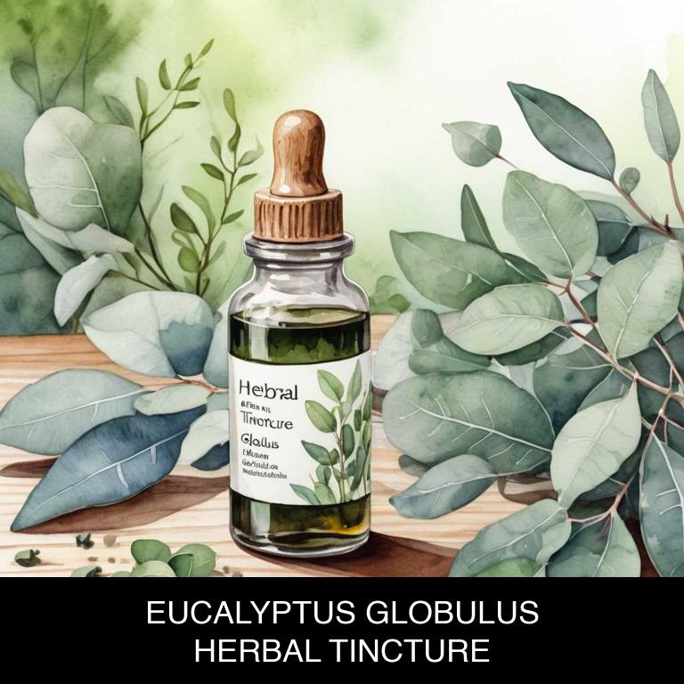 eucalyptus globulus herbal tinctures for breath-shortness