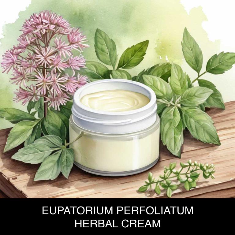 eupatorium perfoliatum herbal creams for colds