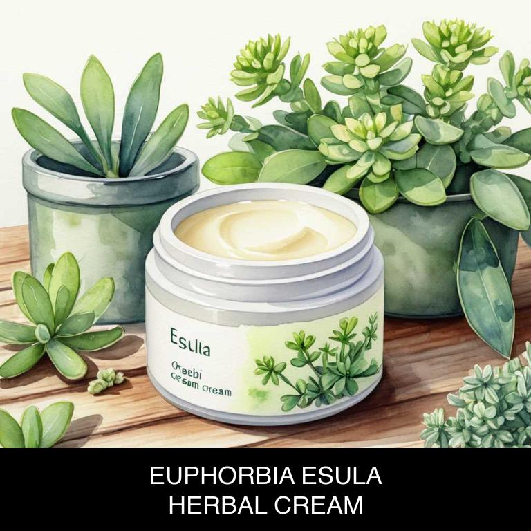 euphorbia esula herbal creams for tonsillitis