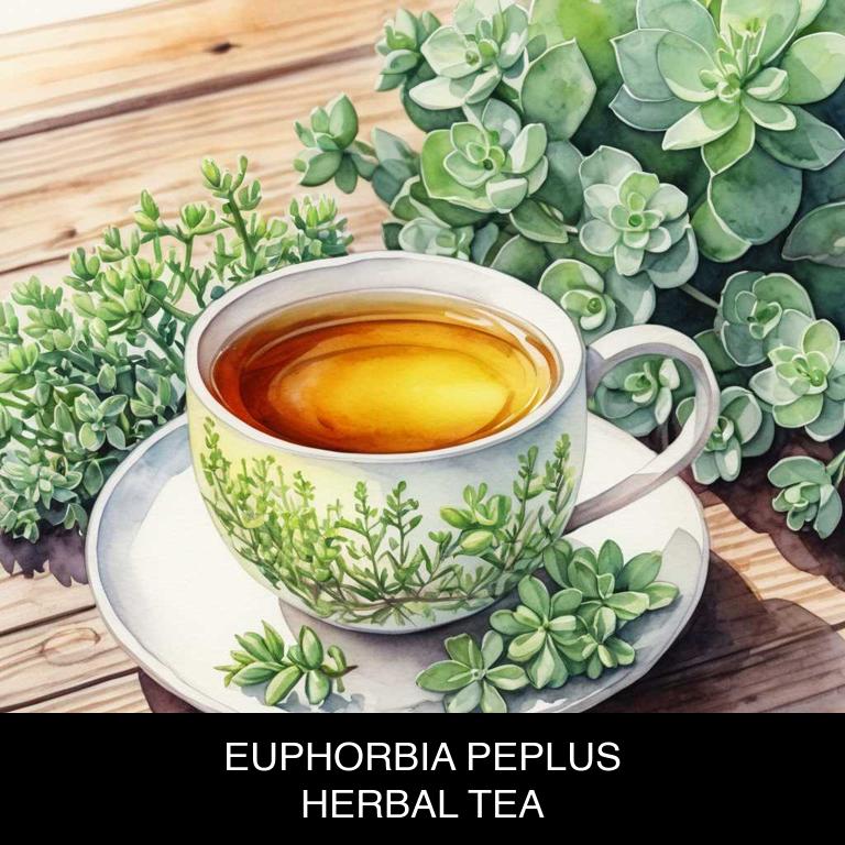 euphorbia peplus herbal teas for gum-infection