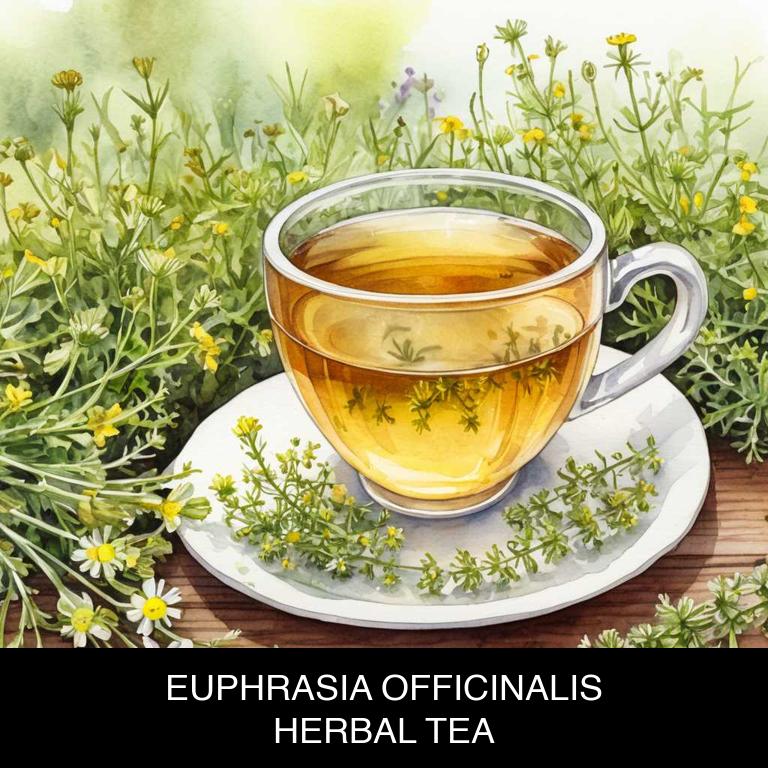 euphrasia officinalis herbal teas for itchy-skin