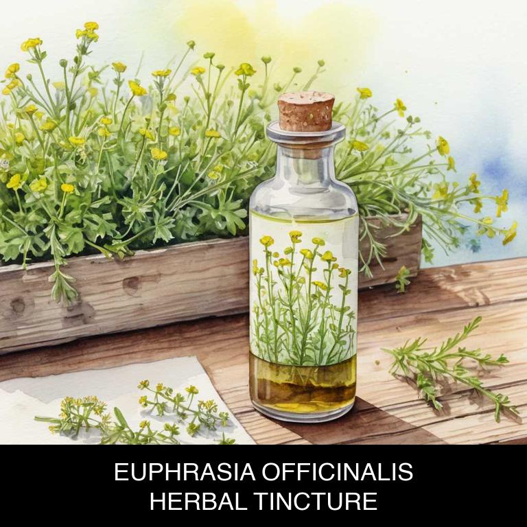 euphrasia officinalis herbal tinctures for red-eyes