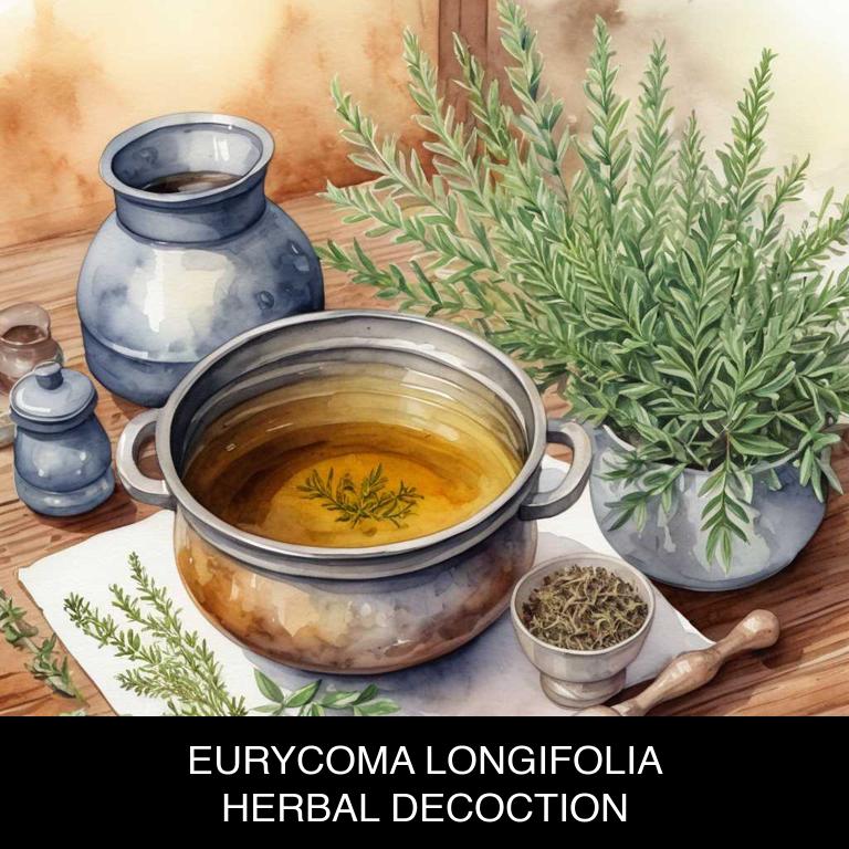 eurycoma longifolia herbal decoctions for erectile-disfunction