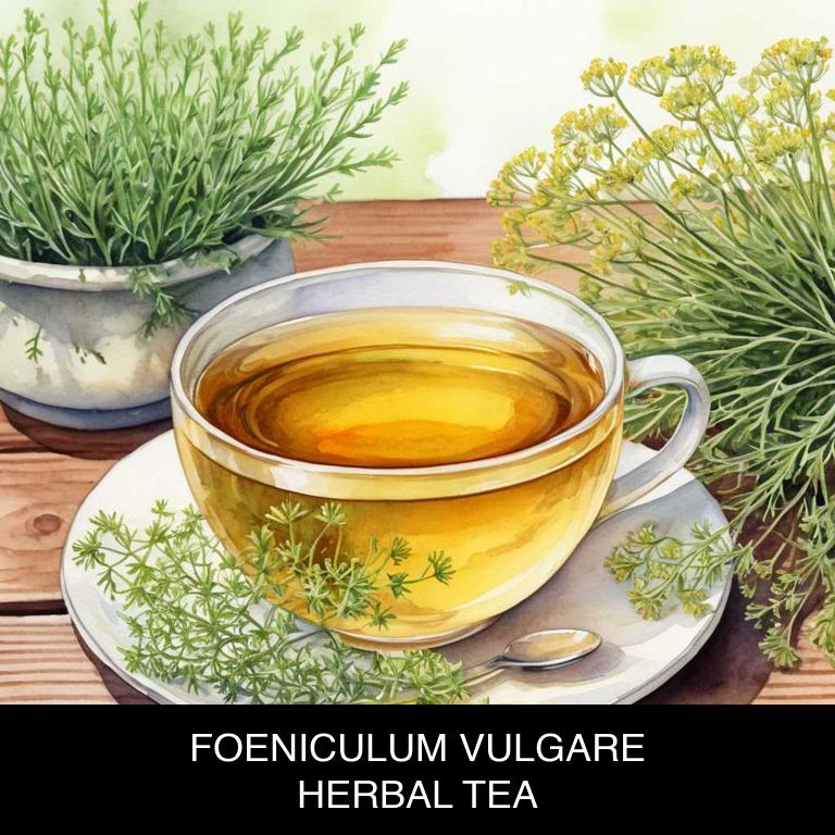 foeniculum vulgare herbal teas for acid-reflux