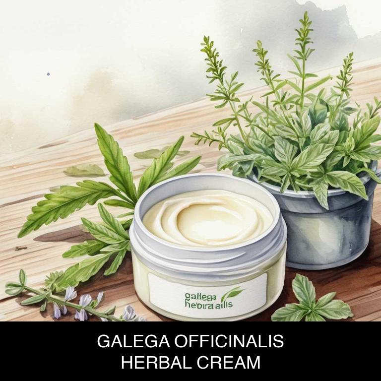 galega officinalis herbal creams for fibrocystic-breast-disease