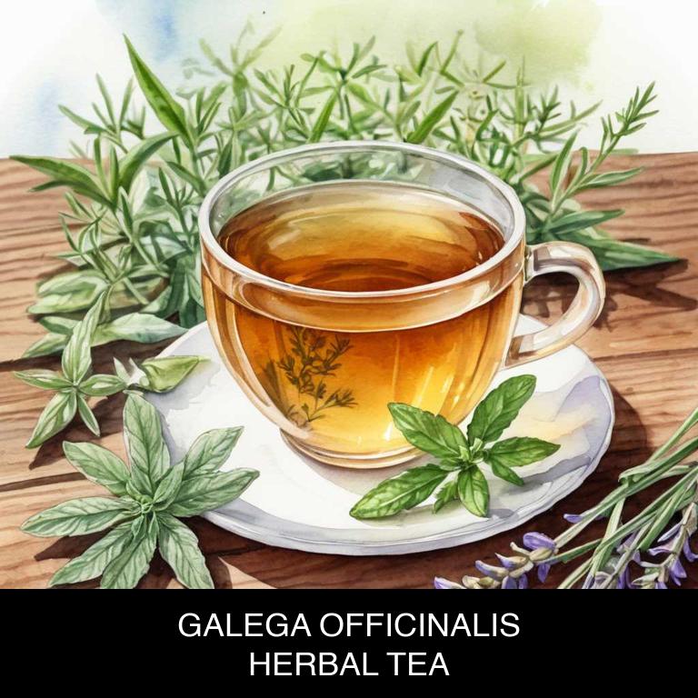 galega officinalis herbal teas for breastfeeding-nipple-pain