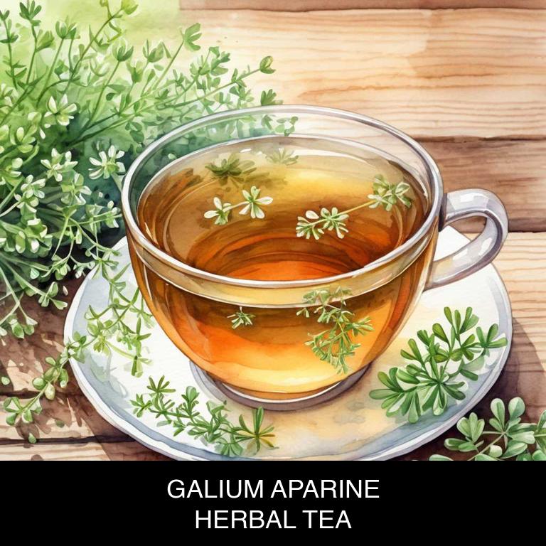 galium aparine herbal teas for breastfeeding-breast-pain