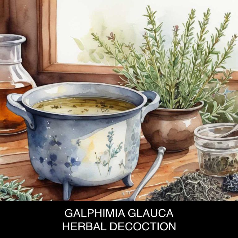 galphimia glauca herbal decoctions for hay-fever