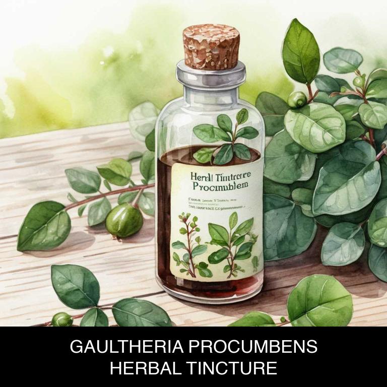 gaultheria procumbens herbal tinctures for chickenpox