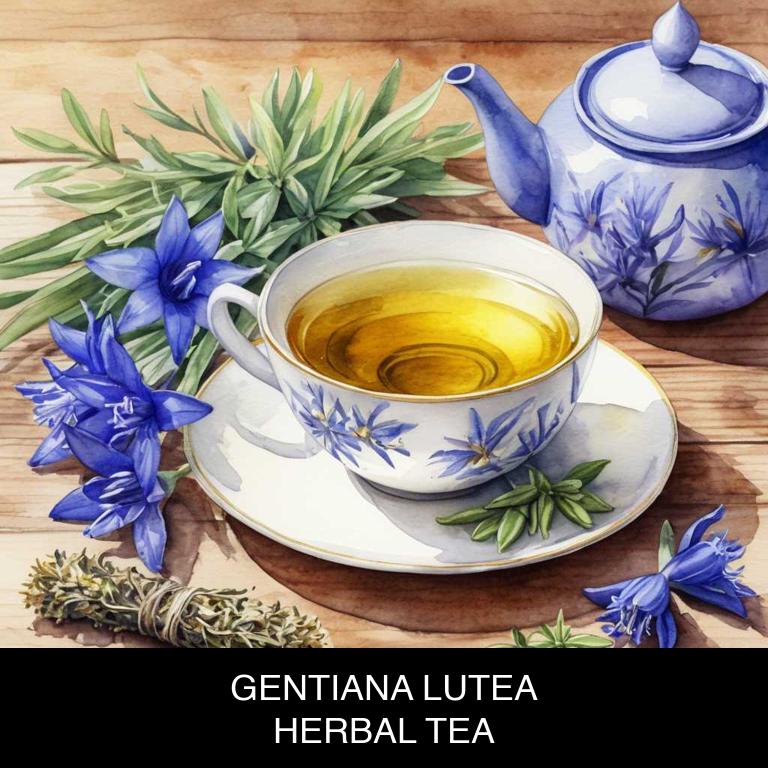 gentiana lutea herbal teas for mouth-bitter-taste