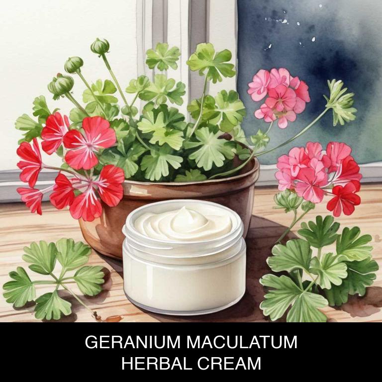 geranium maculatum herbal creams for stye