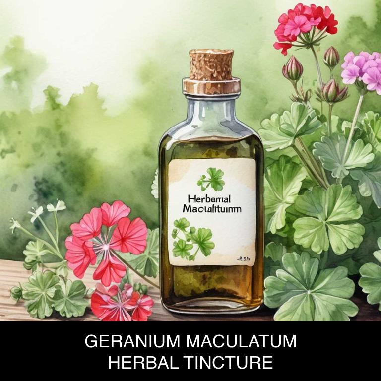 geranium maculatum herbal tinctures for foot-odor